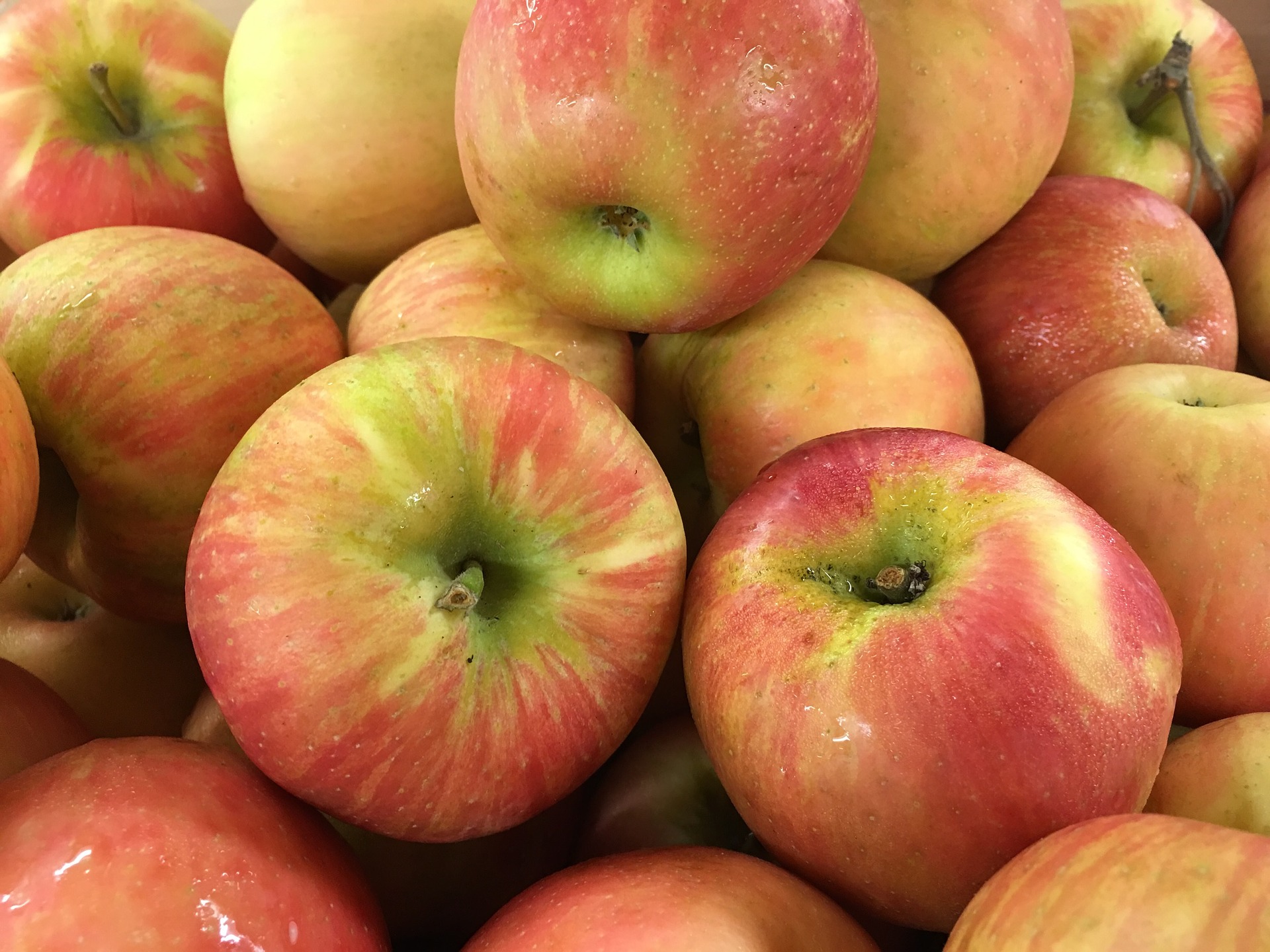 Gala Apple vs Red Delicious Apple: What is the difference?