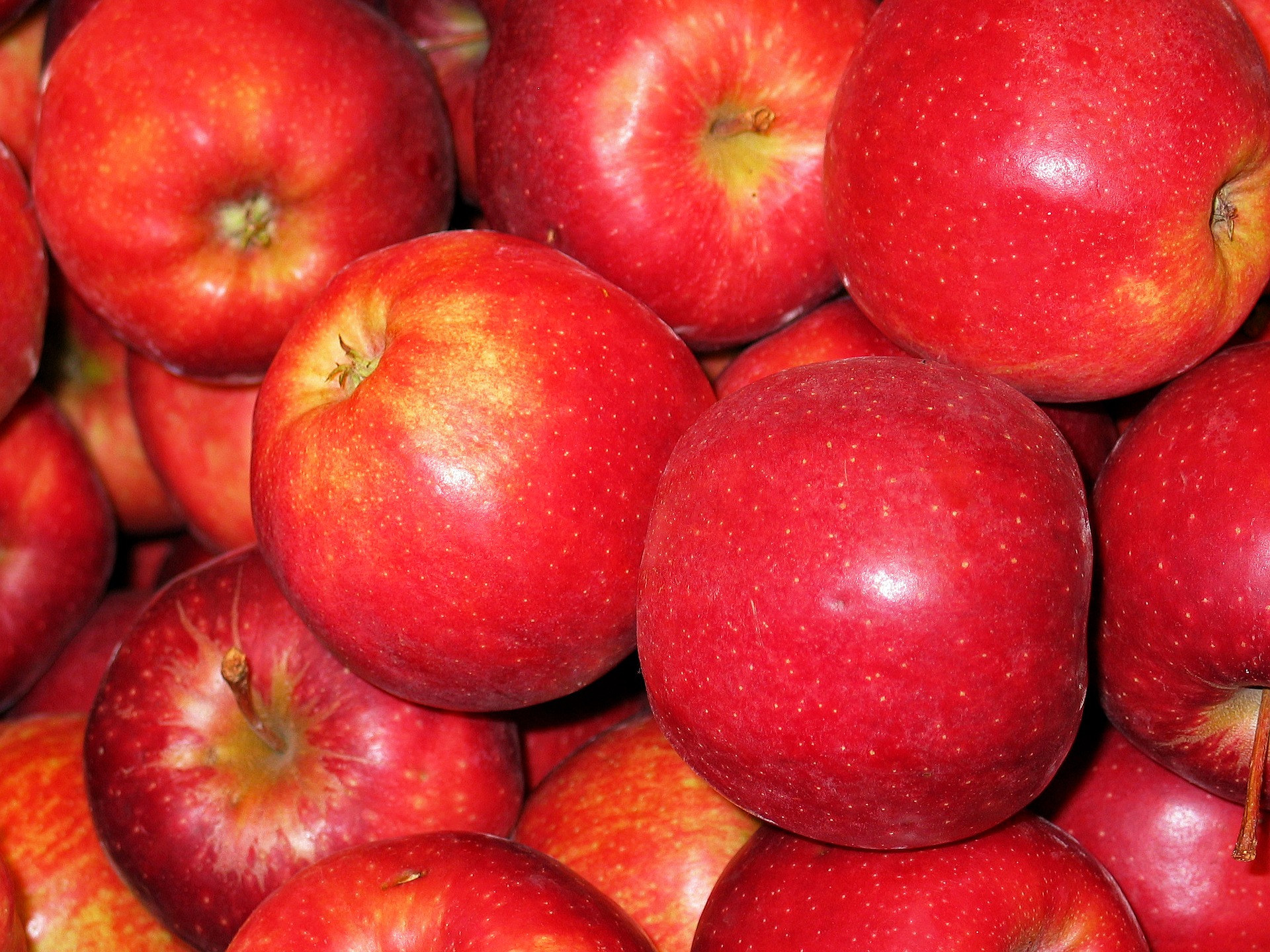 Gala Apples