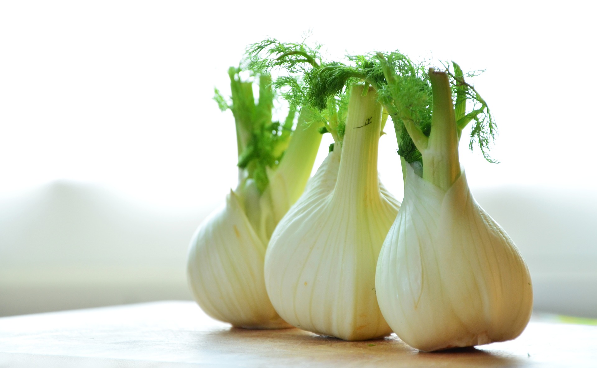 Difference Between Fennel And Anise ErinNudi
