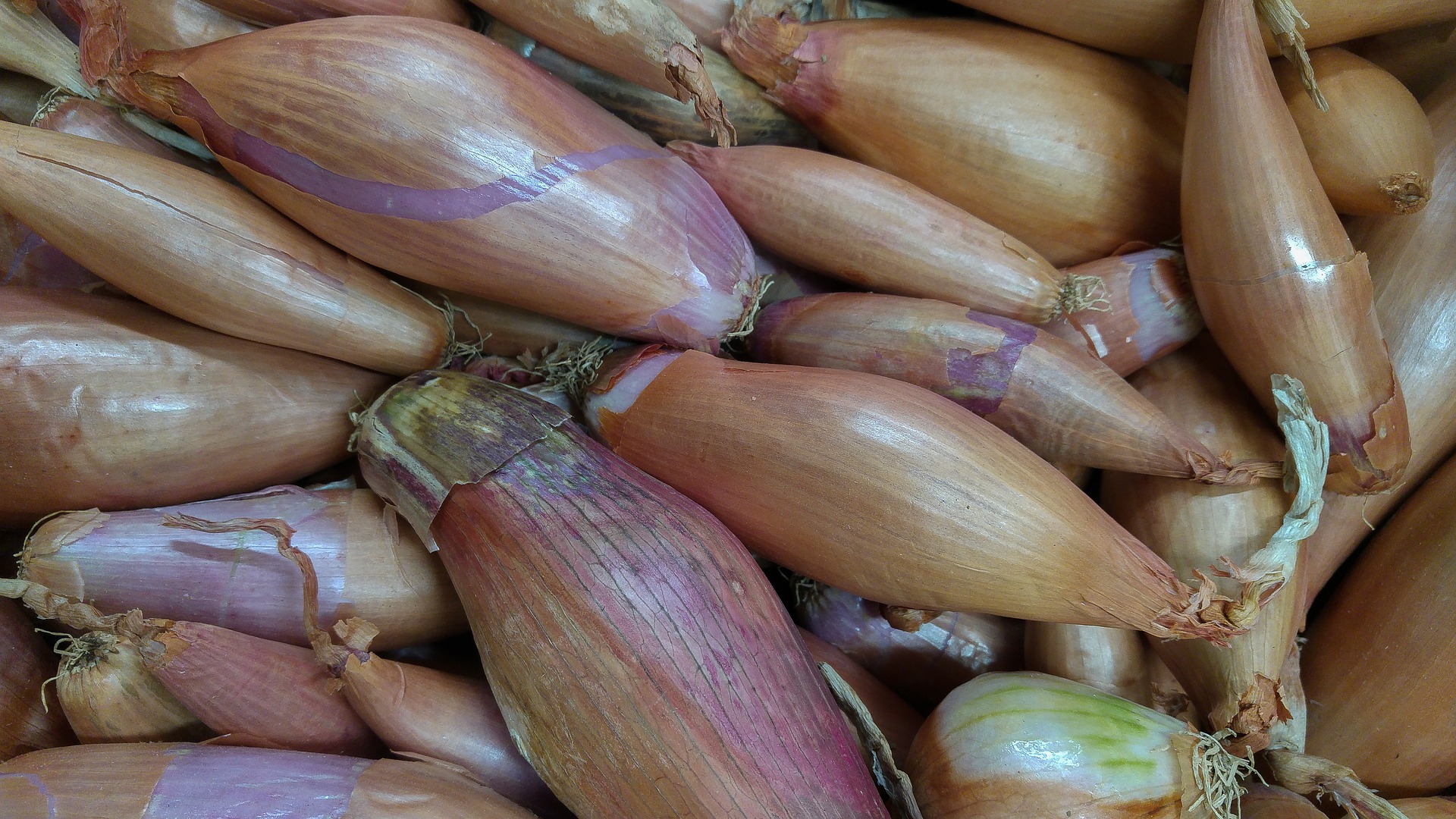 Shallots vs. Onions: What's the Difference?